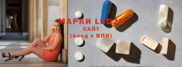 дживик Мурманск