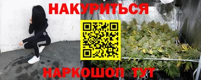 прущие грибы Гусев
