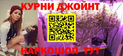 индика Гусь-Хрустальный