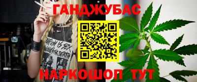 индика Гусь-Хрустальный