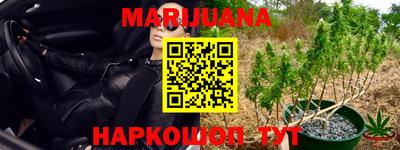 прущие грибы Гусев