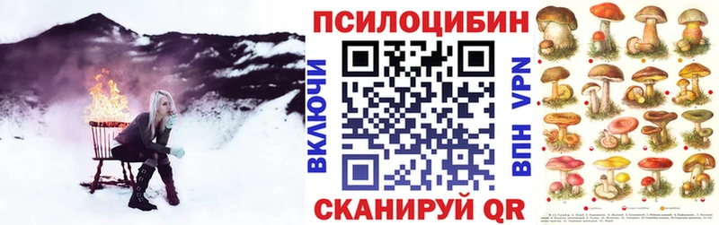 Псилоцибиновые грибы прущие грибы Иваново